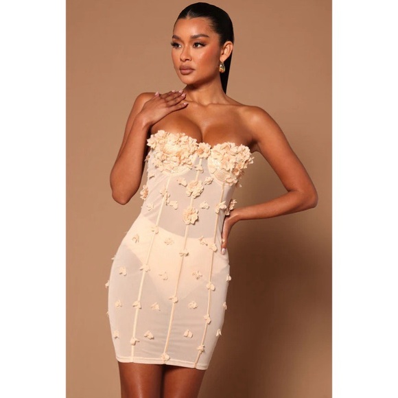 Amelia Rose Corset Mini Dress NWT - Picture 1 of 5